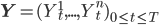 \mathbf{Y}=(Y_t^1,...,Y_t^n)_{0\leq t\leq T}