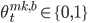 \theta^{mk,b}_t\in\{0,1\}