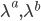 \lambda^a,\lambda^b